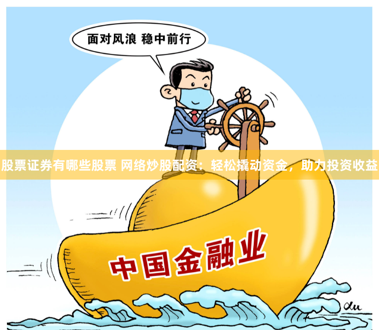 股票证券有哪些股票 网络炒股配资：轻松撬动资金，助力投资收益