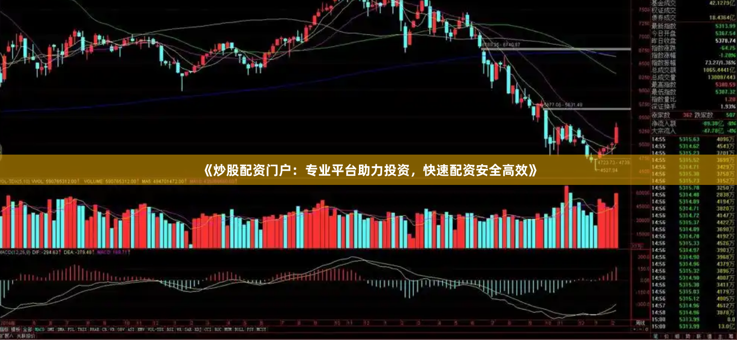 《炒股配资门户：专业平台助力投资，快速配资安全高效》